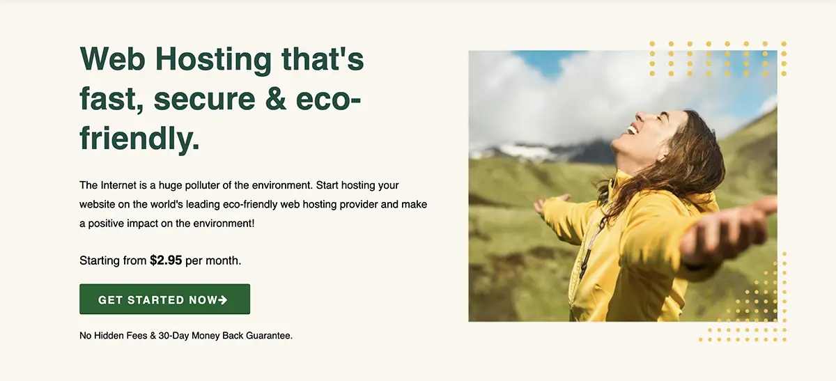 GreenGeeks review overview 