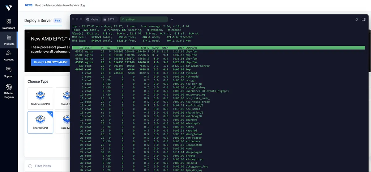 Vultr Hosting Review - Server Status copy